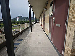 レオパレス与奈泉 205 号室 2階1Kの室内