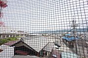 背景