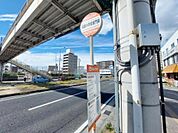 雄郡小学校東門前 バス停