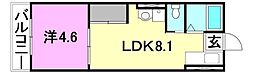 ピカデリーサーカス衣山 1LDKの間取図画像