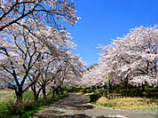 野田河川公園