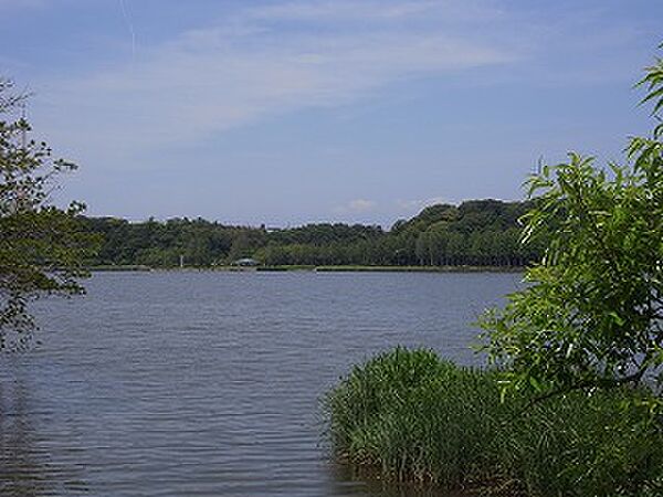 画像23:佐鳴湖公園（714m）