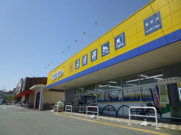 画像22:マツモトキヨシ 磐田店（810m）