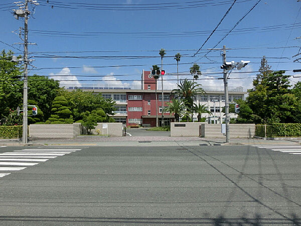 画像18:国立静岡大学教育学部附属浜松小学校（1904m）