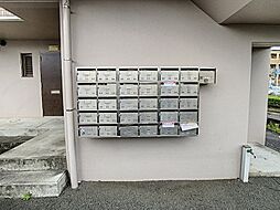 7 / 11