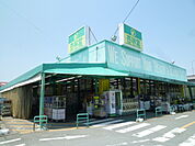 杏林堂ドラッグストア袋井西田店（459m）