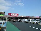 マックスバリュ浜松和田店（560m）