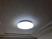 照明