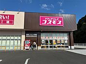 ディスカウントドラッグコスモス西貝塚店（1248m）