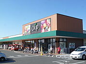 コープしずおか袋井田町店（66m）