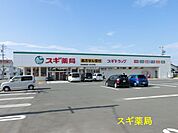 スギ薬局 浜松飯田店（730m）