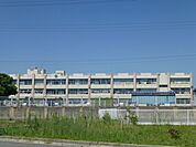 磐田市立竜洋西小学校（793m）