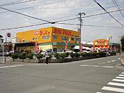 ビック富士葵西店（0m）
