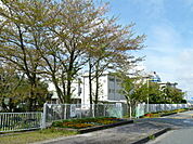 袋井市立山名小学校（953m）
