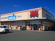 ウエルシア　浜松浜北店（551m）
