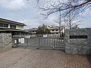 小学校「広島市立観音小学校まで515ｍ」