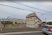 新潟市立藤見中学校（559m）