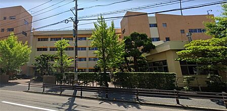 新潟市立白山小学校（506m）