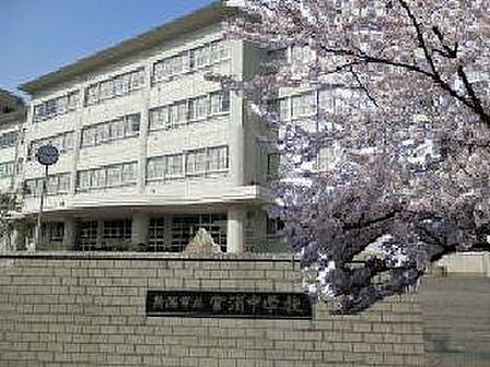 新潟市立宮浦中学校(333m)
