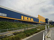 ＩＫＥＡ 1200m