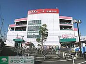 ロヂャース 徒歩10分。その他小売店 760m