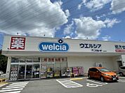 ウエルシア福岡香椎浜店　徒歩約7分　529ｍ