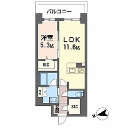 ケイマン 5階