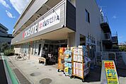 クリエイトSD藤沢羽鳥店 徒歩10分。 790m