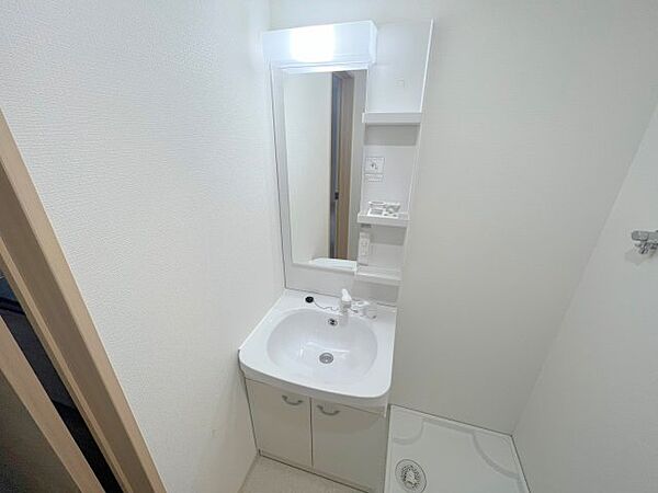 画像13:人気の独立洗面所にはうれしいシャンプードレッサーが付いてます。 
