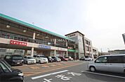 Sun Live（サンリブ） 朝日ヶ丘店（1561m）