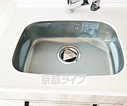 比較的大きなシンクです
