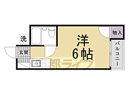 プチシャトー紫野 2階/-