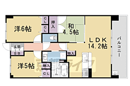 メイツ西院ラヴィネス 5階/-