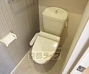 綺麗です