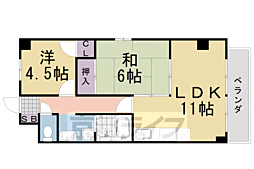 フォレ・クレール 5階/-