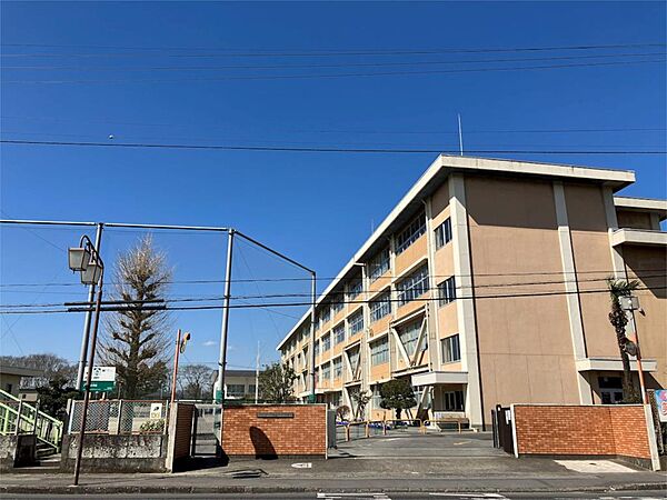 ヴィラージュエクセラン 305｜栃木県宇都宮市中今泉３丁目(賃貸マンション3LDK・3階・73.63㎡)の写真 その19