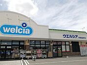 ウエルシア宇都宮越戸店（476m）