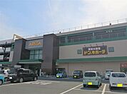 ドン・キホーテドン・キホーテ アピタ宇都宮店（929m）