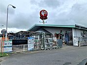 コメリ ハード＆グリーン城内店（1952m）