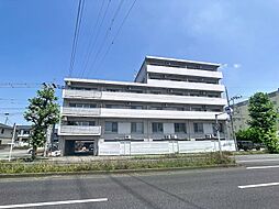 ディープインフォレスト2