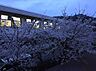 周辺：岡山市立旭東中学校（4605m）