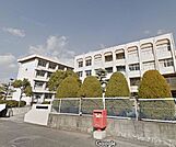 岡山市立福南中学校（993m）