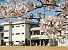 周辺：岡山市立宇野小学校（1157m）