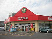 金光薬品 西大寺店（340m）