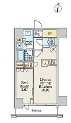 クレストコート中野富士見町 1LDKの間取図画像
