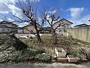 樹木伐採も売主負担にて行います( ^)o(^ )