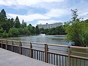 井の頭恩賜公園 500m