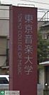 私立東京音楽大学 徒歩12分。大学・短大 950m