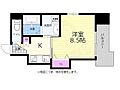 セイコウ光町9階6.0万円