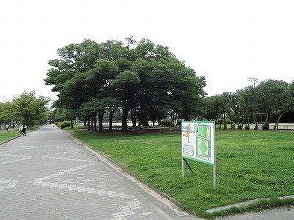 周辺を拡大表示